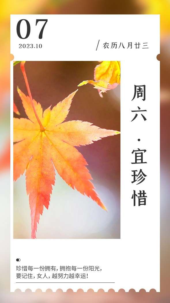 20231007095918front2_0_1041_FqxzXdxGyEPmLFG1AQWvtx9okiNu.jpg