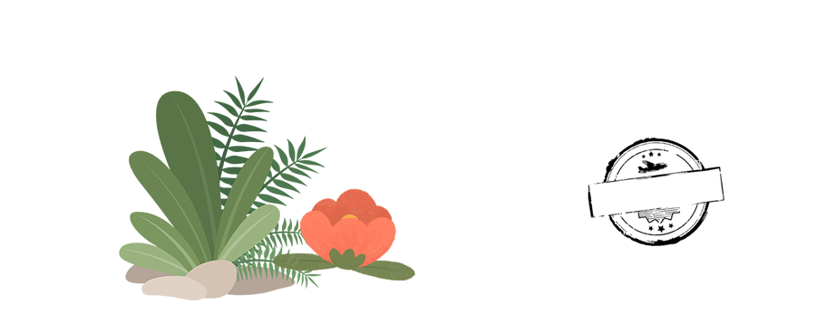 101823c2r1j8eajg24jjj1.png