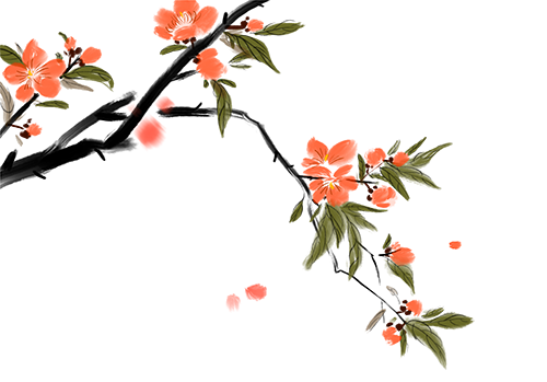 101633aa68pyedwdie055i.png