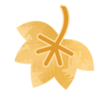 111130u2ldxlqrqcfd8ddr.gif