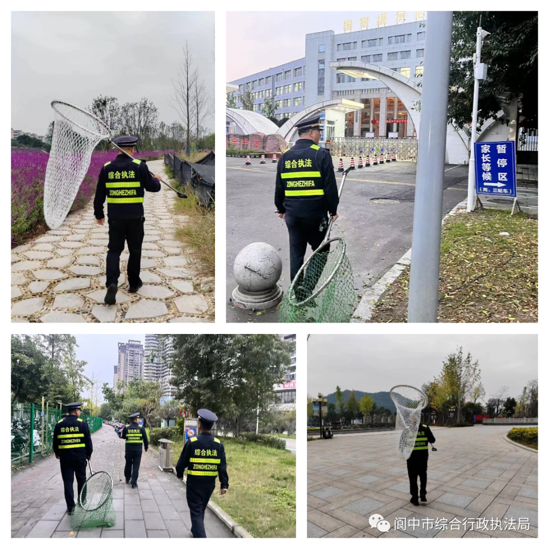 160655ggm95tp9stemtrss.png