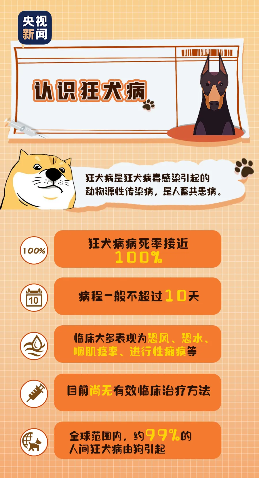 101121en6y6b6ldkydhln1.png