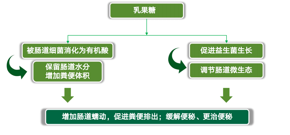 100348ck5kkv9779zsjll8.png