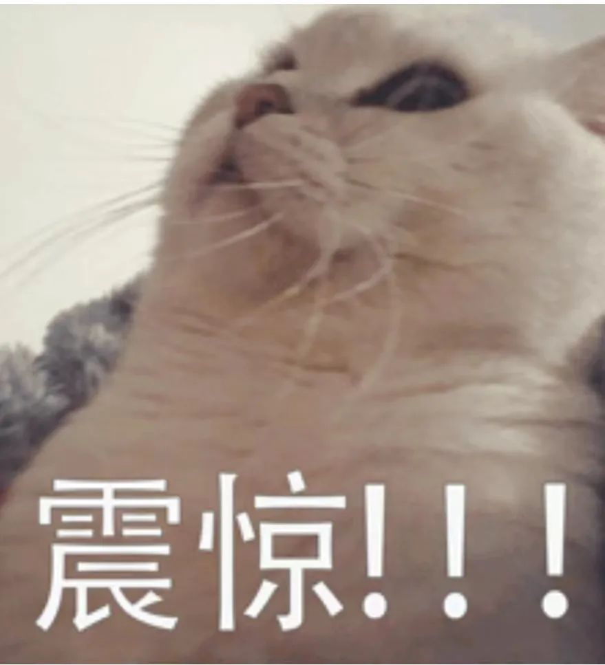 172958r3uoi4n74u4w31fi.png