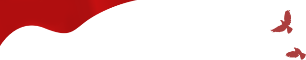 103548dix8kijjafwk044j.png