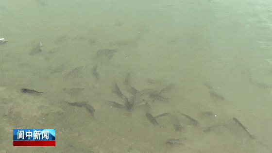 103239up079k0pk0517360.gif