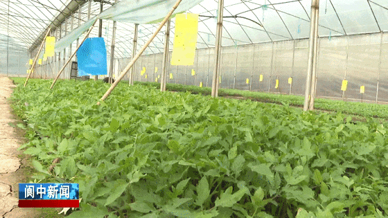 105450j2trrbi522czv43d.gif
