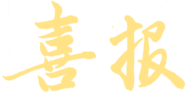 095702w29g2wlhdzhr0h2y.png