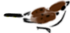 104434qs3314q1hoyqz66j.png