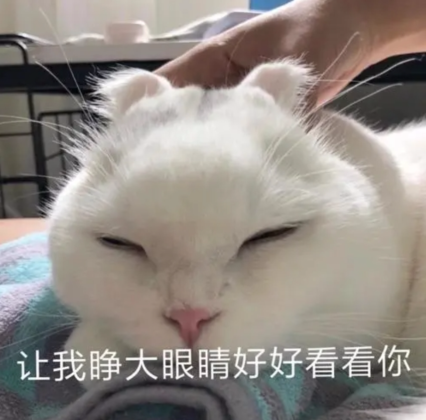 103305btvuru6s9rth62ru.png