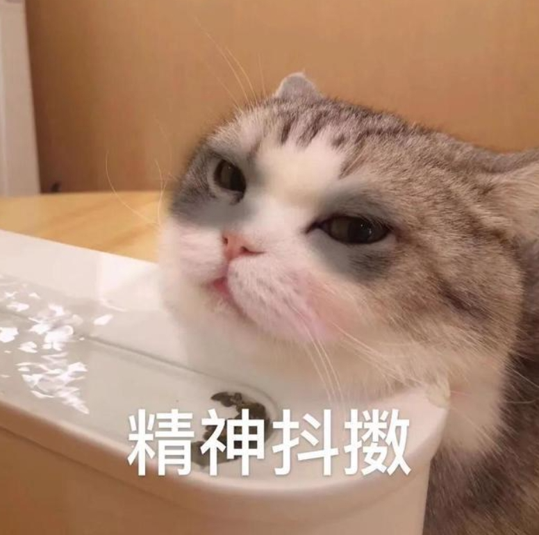 103305mzxz01sg3uz7hixz.png