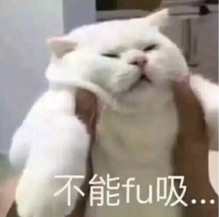 103305oqqmwzmvv3mqumdz.png