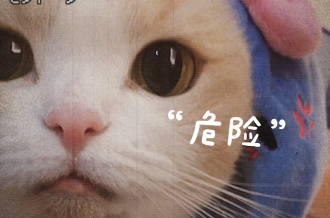 103306ve1979oha2za7cil.png