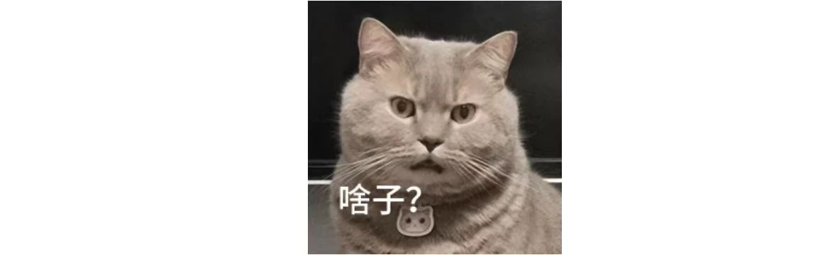 145332tmby86leipiqjtim.jpeg