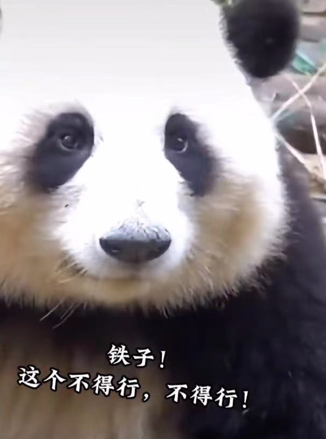 110408ajpcco66jh686rar.png