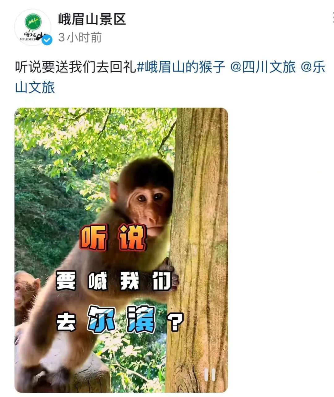 110409kef9r5nmb5fv81v1.jpeg
