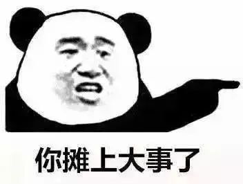 105658h229o4od2wjapwnr.jpeg