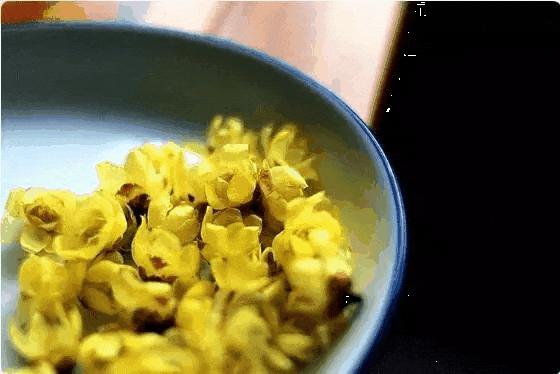 101815d7z2kav7wgerts37.gif