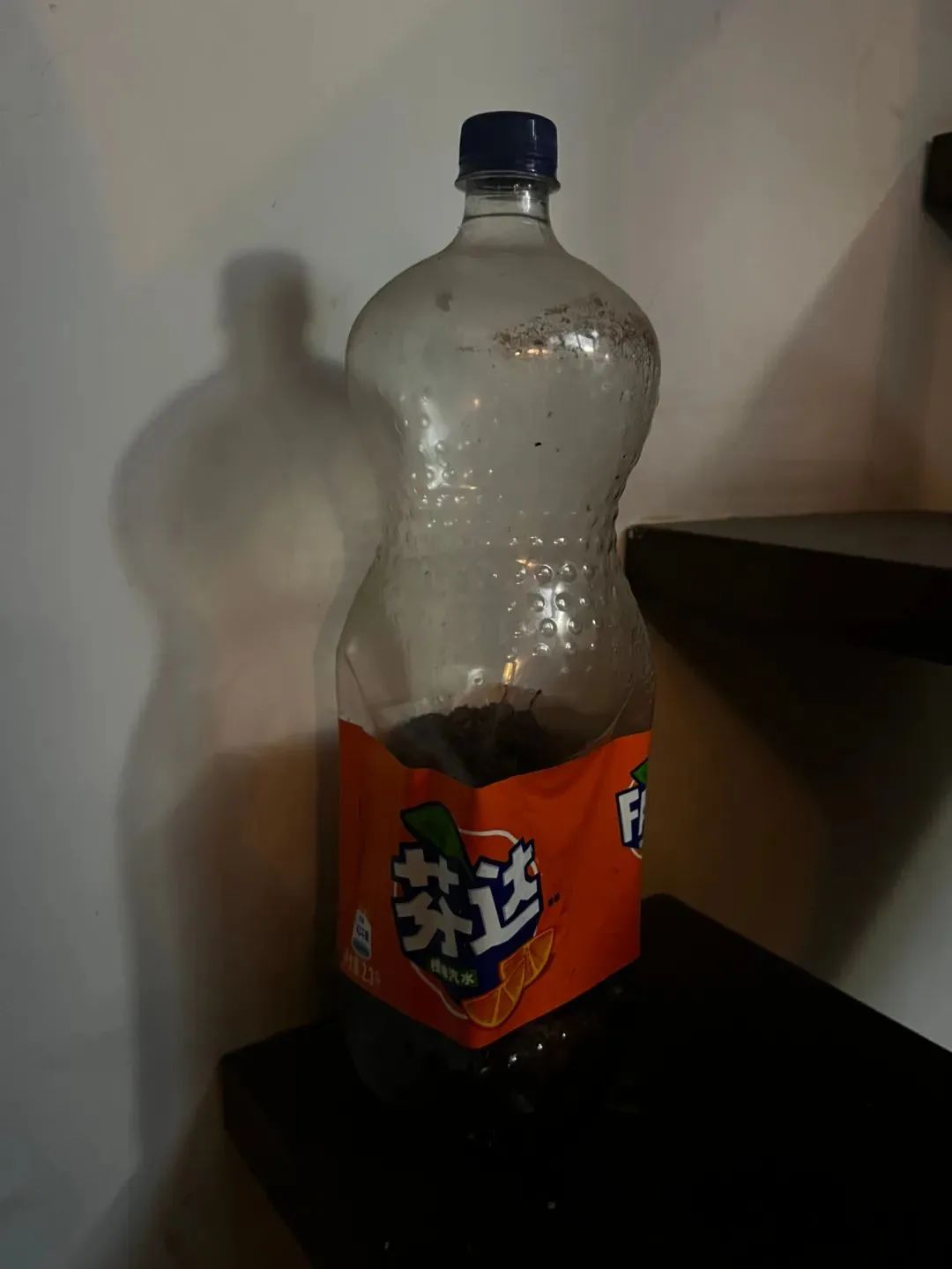 103529yqriezkpp7ypfkpb.jpeg