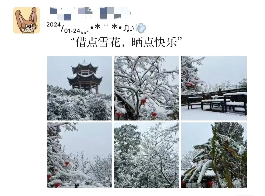 165909fw2t52cz54k7kkvn.jpeg