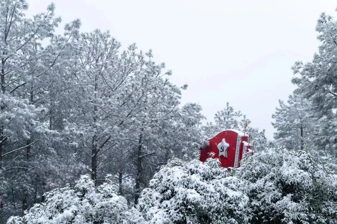 165909gojj6pvazd688a87.jpeg
