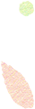101047n4vqen07e7e72z7e.png