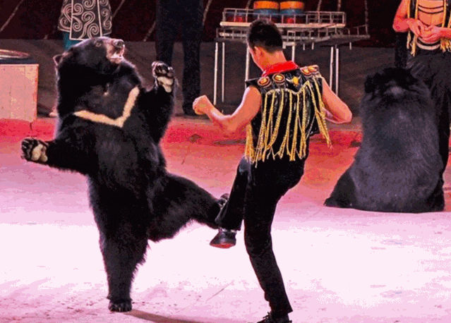 143438n9owowowxy9ooqsx.gif