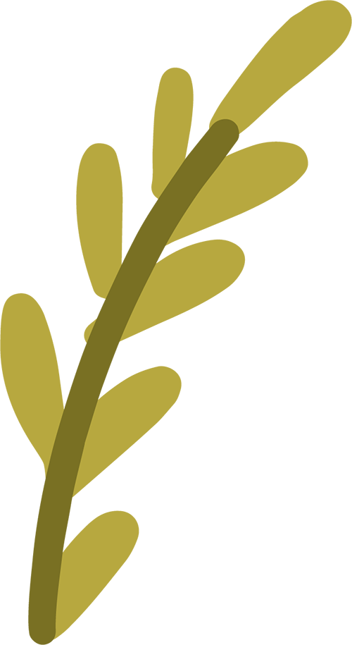 152632uw2dk5x2dgdfxv6s.png