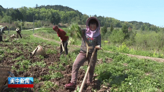 140457v40oms9bwo7gvjb7.gif
