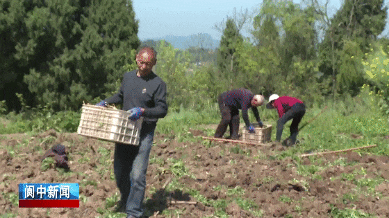 140458za2qush5tz5svztl.gif