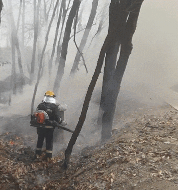142132wl92b9v1v11bz1uf.gif