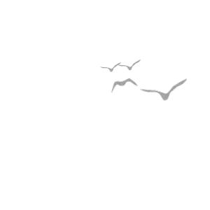 193421xazvdvledy6mv7ri.gif