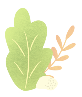 154258fe2i63xg4zug236u.png
