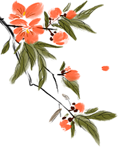 085307i6054xgd66vu5x5j.png