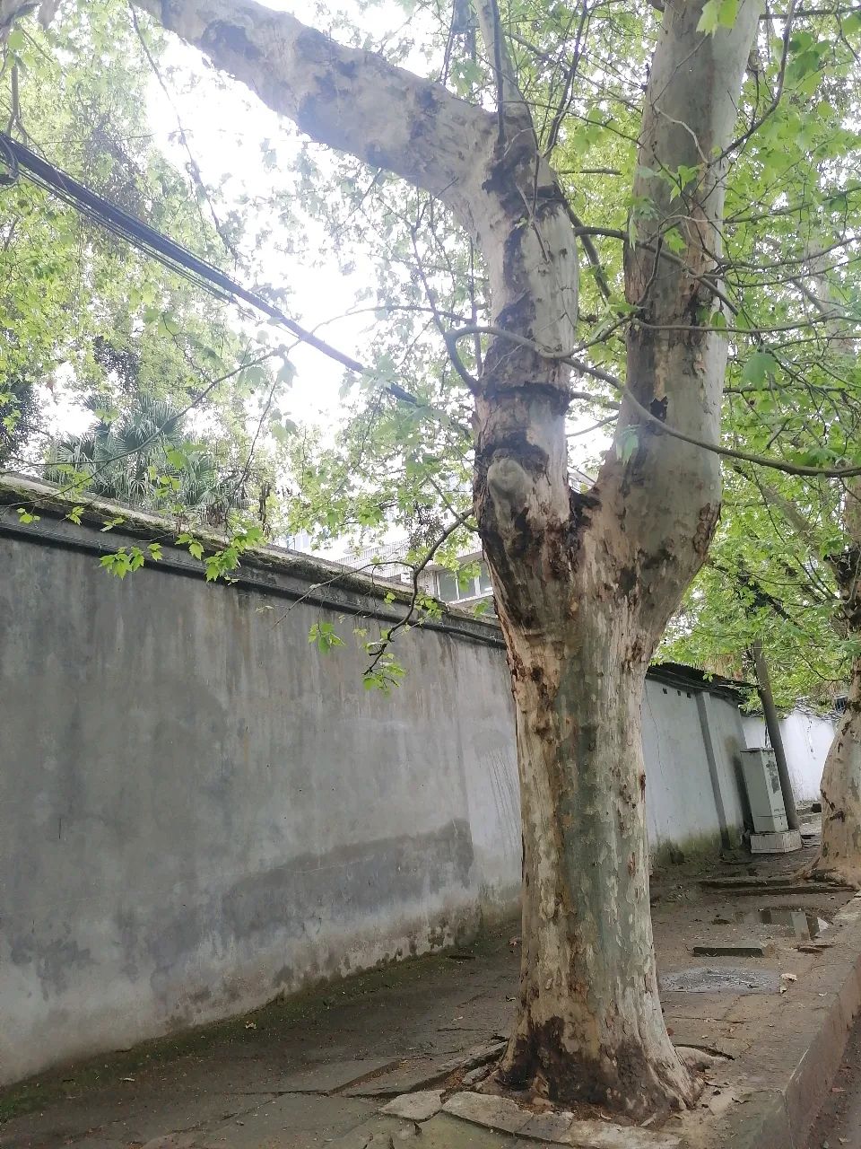 131404fcbe3djd9sns56dk.jpeg