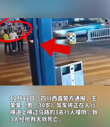 1733994612384.gif