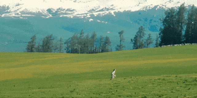 123742xb0clxb5ll5bhz1z.gif
