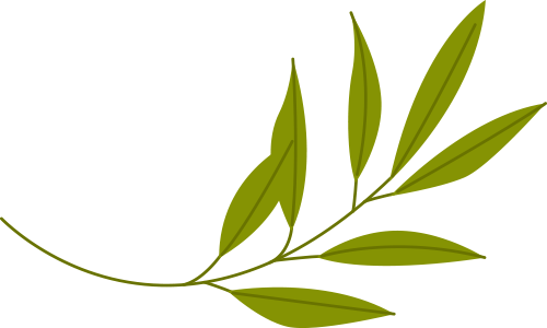 170202srdv175nddvnrznd.png