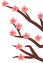 152909bt774hsw2zt77n2h.png