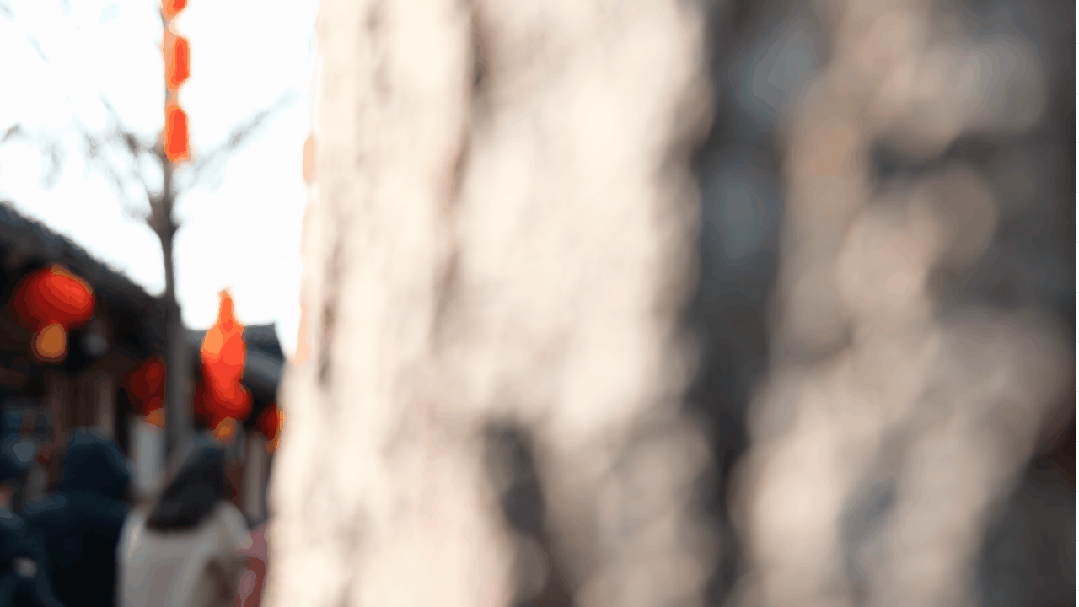 212204r8cggigr8mxr8icm.gif