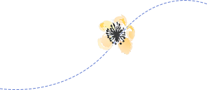 112804o55grrxwlr4gg4g2.png