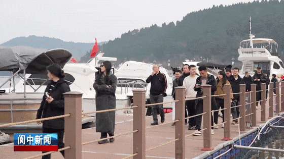 154530ahvoplvzpagwpjja.gif