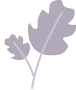 171902gw1cmjaamadkjggi.png