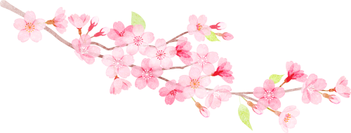 173301ibmzwbbmevpz2pw5.png