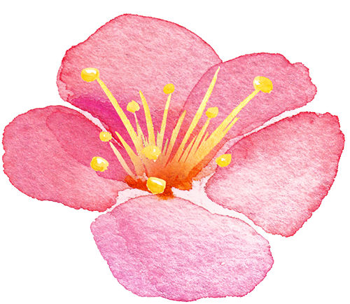 173302en8sxauua90d06uc.png