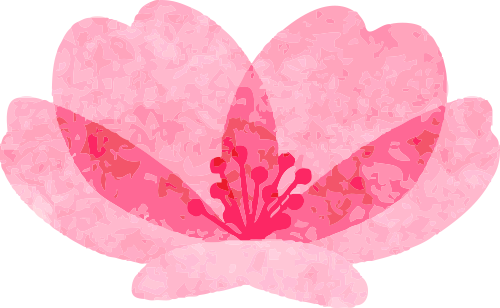 173302riex7fx7u1j3vovw.png