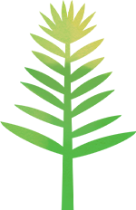 164033uvypoyypnkylpvro.png