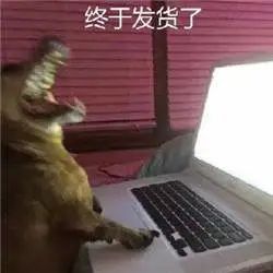 152040olmowhlovfiollzm.jpeg