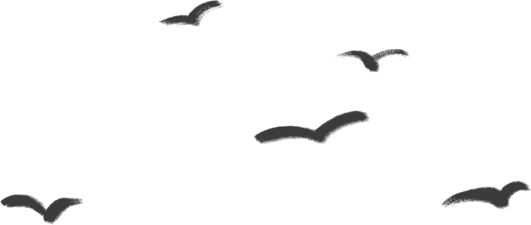 163309suuzop8oebom3tr3.png