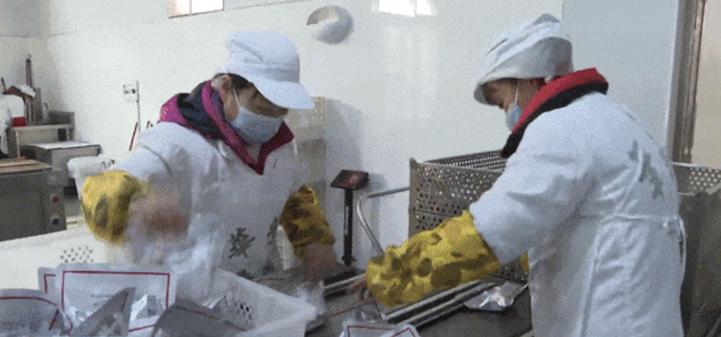 截屏2026-01-21 16.04.13.png